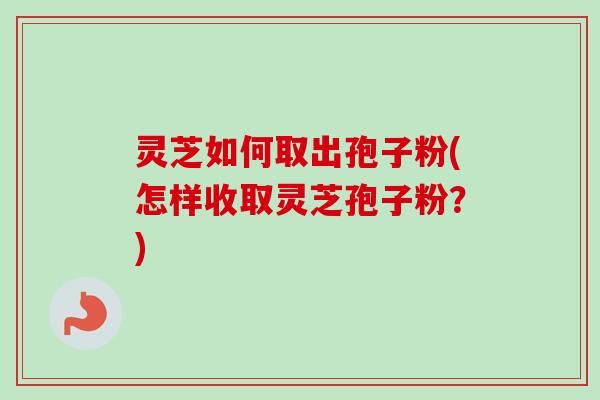 灵芝如何取出孢子粉(怎样收取灵芝孢子粉？)-第1张图片-卓越灵芝孢子粉