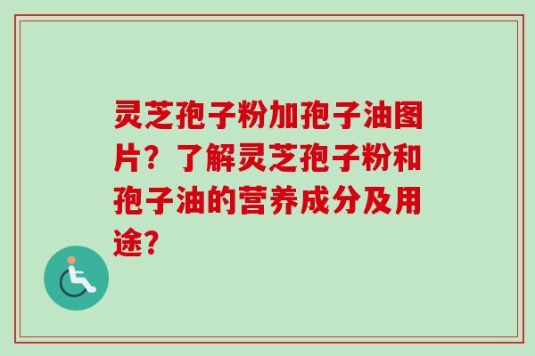 灵芝孢子粉加孢子油图片？了解灵芝孢子粉和孢子油的营养成分及用途？-第1张图片-卓越灵芝孢子粉