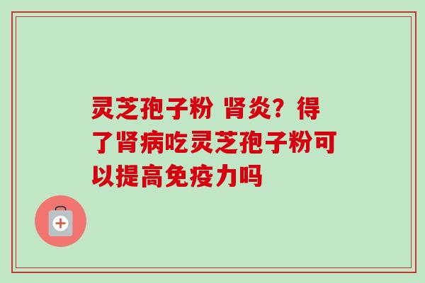 灵芝孢子粉 肾炎？得了肾病吃灵芝孢子粉可以提高免疫力吗-第1张图片-卓越灵芝孢子粉