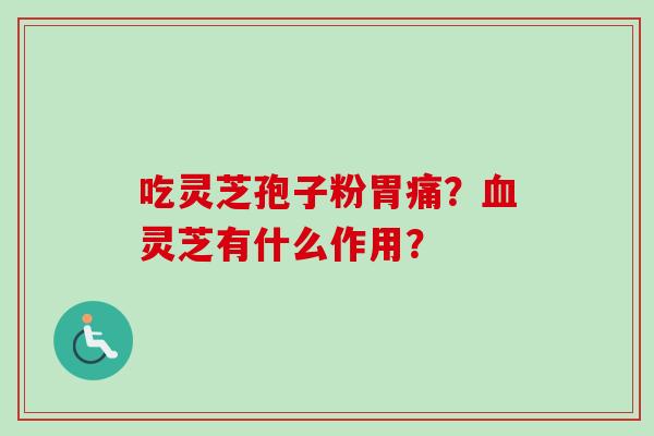 吃灵芝孢子粉胃痛?血灵芝有什么作用?-第1张图片-卓越灵芝孢子粉 吃灵芝孢子粉胃痛?血灵芝有什么作用?-第1张图片-卓越灵芝孢子粉