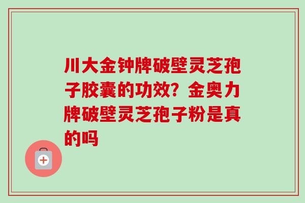 川大金钟牌破壁灵芝孢子胶囊的功效？金奥力牌破壁灵芝孢子粉是真的吗-第1张图片-卓越灵芝孢子粉