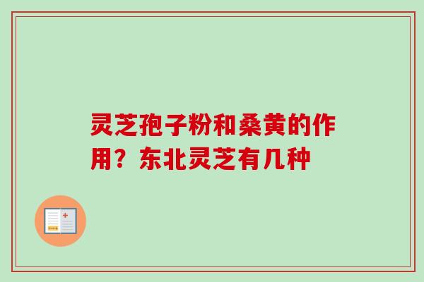 灵芝孢子粉和桑黄的作用?东北灵芝有几种-第1张图片-卓越灵芝孢子粉 灵芝孢子粉和桑黄的作用?东北灵芝有几种-第1张图片-卓越灵芝孢子粉