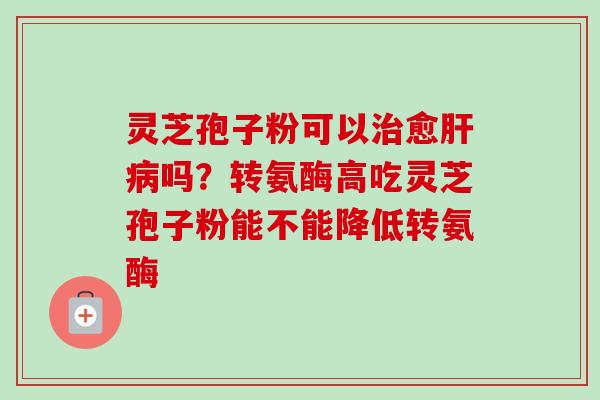 灵芝孢子粉可以治愈肝病吗?转氨酶高吃灵芝孢子粉能不能降低转氨酶-第1张图片-卓越灵芝孢子粉 灵芝孢子粉可以治愈肝病吗?转氨酶高吃灵芝孢子粉能不能降低转氨酶-第1张图片-卓越灵芝孢子粉