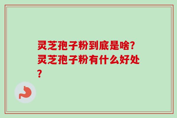 灵芝孢子粉到底是啥?灵芝孢子粉有什么好处?-第1张图片-卓越灵芝孢子粉 灵芝孢子粉到底是啥?灵芝孢子粉有什么好处?-第1张图片-卓越灵芝孢子粉
