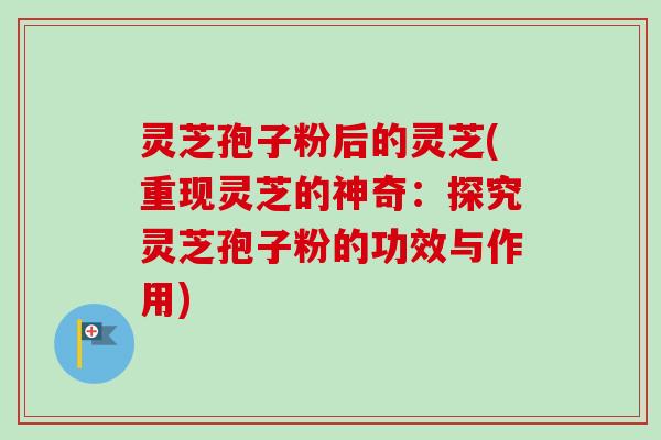 灵芝孢子粉后的灵芝(重现灵芝的神奇:探究灵芝孢子粉的功效与作用)-第1张图片-卓越灵芝孢子粉 灵芝孢子粉后的灵芝(重现灵芝的神奇:探究灵芝孢子粉的功效与作用)-第1张图片-卓越灵芝孢子粉