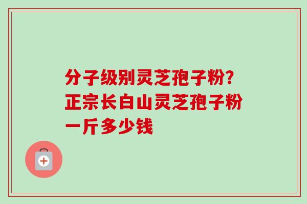 分子级别灵芝孢子粉?正宗长白山灵芝孢子粉一斤多少钱-第1张图片-卓越灵芝孢子粉 分子级别灵芝孢子粉?正宗长白山灵芝孢子粉一斤多少钱-第1张图片-卓越灵芝孢子粉