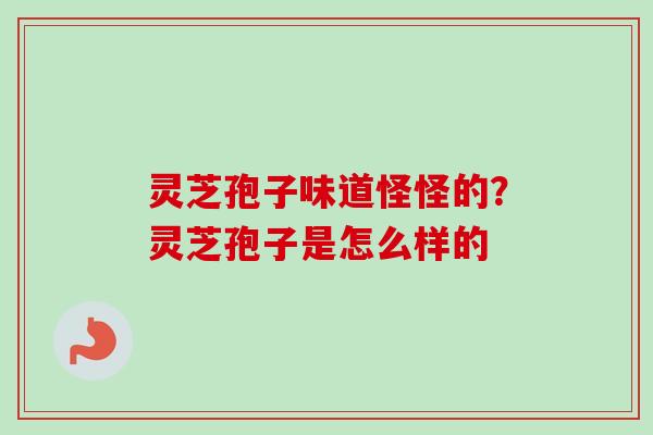 灵芝孢子味道怪怪的？灵芝孢子是怎么样的-第1张图片-卓越灵芝孢子粉