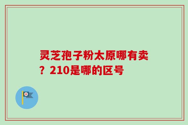 灵芝孢子粉太原哪有卖？210是哪的区号-第1张图片-卓越灵芝孢子粉