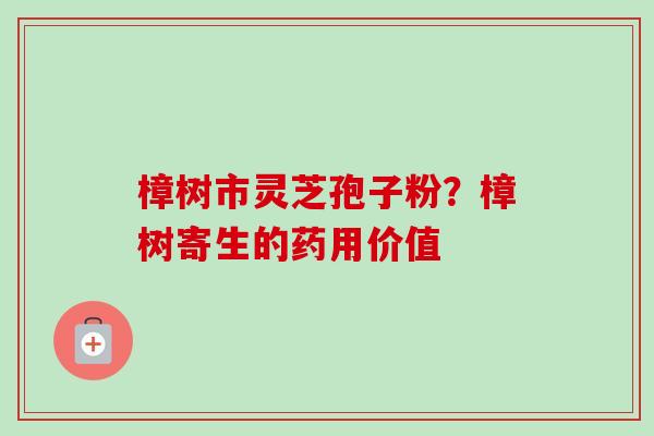 樟树市灵芝孢子粉?樟树寄生的药用价值-第1张图片-卓越灵芝孢子粉 樟树市灵芝孢子粉?樟树寄生的药用价值-第1张图片-卓越灵芝孢子粉