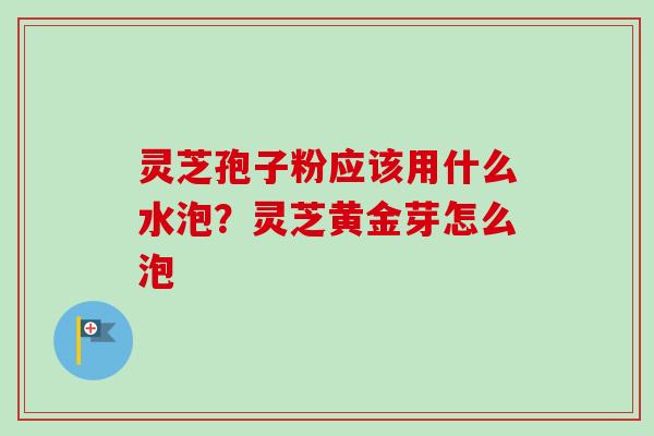 灵芝孢子粉应该用什么水泡？灵芝黄金芽怎么泡-第1张图片-卓越灵芝孢子粉