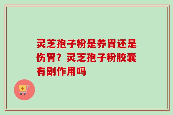 灵芝孢子粉是养胃还是伤胃?灵芝孢子粉胶囊有副作用吗-第1张图片-卓越灵芝孢子粉 灵芝孢子粉是养胃还是伤胃?灵芝孢子粉胶囊有副作用吗-第1张图片-卓越灵芝孢子粉