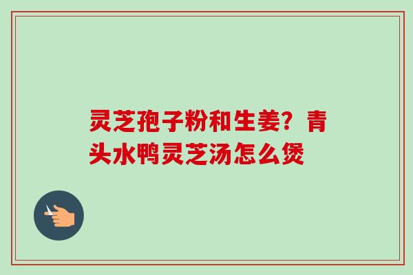 灵芝孢子粉和生姜?青头水鸭灵芝汤怎么煲-第1张图片-卓越灵芝孢子粉 灵芝孢子粉和生姜?青头水鸭灵芝汤怎么煲-第1张图片-卓越灵芝孢子粉