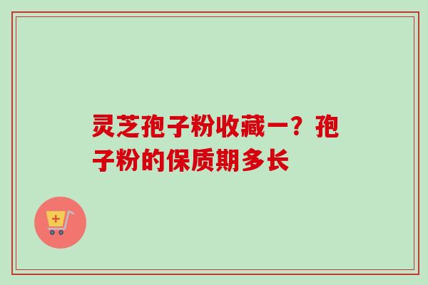 灵芝孢子粉收藏一？孢子粉的保质期多长-第1张图片-卓越灵芝孢子粉
