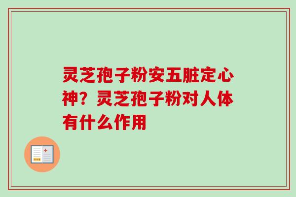 灵芝孢子粉安五脏定心神?灵芝孢子粉对人体有什么作用-第1张图片-卓越灵芝孢子粉 灵芝孢子粉安五脏定心神?灵芝孢子粉对人体有什么作用-第1张图片-卓越灵芝孢子粉