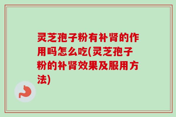 灵芝孢子粉有补肾的作用吗怎么吃(灵芝孢子粉的补肾效果及服用方法)-第1张图片-卓越灵芝孢子粉 灵芝孢子粉有补肾的作用吗怎么吃(灵芝孢子粉的补肾效果及服用方法)-第1张图片-卓越灵芝孢子粉