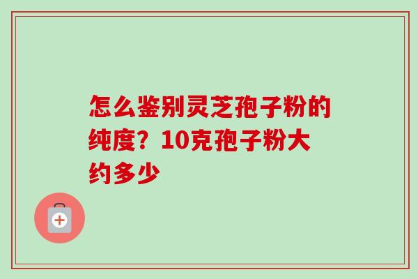怎么鉴别灵芝孢子粉的纯度？10克孢子粉大约多少-第1张图片-卓越灵芝孢子粉