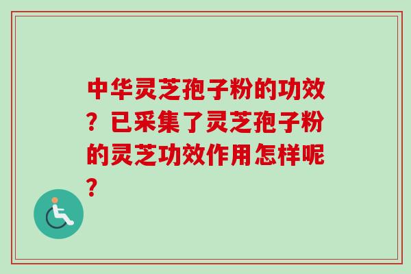中华灵芝孢子粉的功效?已采集了灵芝孢子粉的灵芝功效作用怎样呢?-第1张图片-卓越灵芝孢子粉 中华灵芝孢子粉的功效?已采集了灵芝孢子粉的灵芝功效作用怎样呢?-第1张图片-卓越灵芝孢子粉
