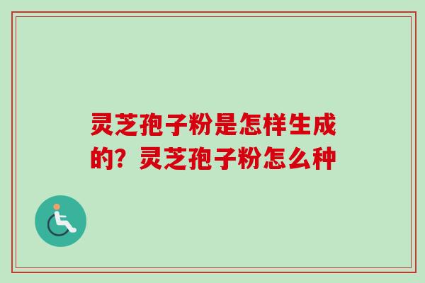 灵芝孢子粉是怎样生成的?灵芝孢子粉怎么种-第1张图片-卓越灵芝孢子粉 灵芝孢子粉是怎样生成的?灵芝孢子粉怎么种-第1张图片-卓越灵芝孢子粉