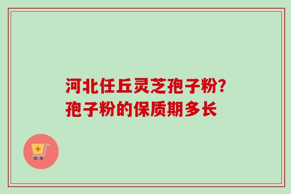河北任丘灵芝孢子粉?孢子粉的保质期多长-第1张图片-卓越灵芝孢子粉 河北任丘灵芝孢子粉?孢子粉的保质期多长-第1张图片-卓越灵芝孢子粉
