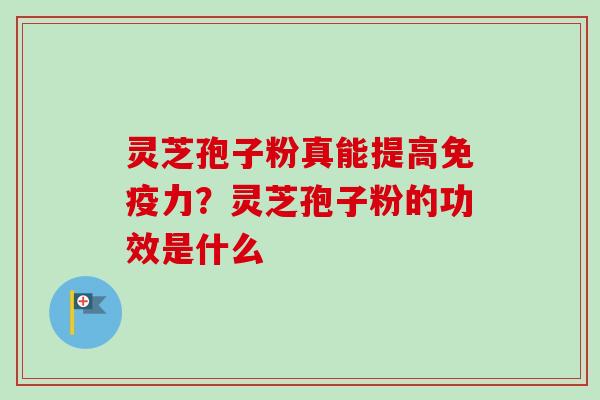 灵芝孢子粉真能提高免疫力？灵芝孢子粉的功效是什么-第1张图片-卓越灵芝孢子粉