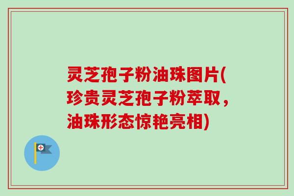 灵芝孢子粉油珠图片(珍贵灵芝孢子粉萃取,油珠形态惊艳亮相)-第1张图片-卓越灵芝孢子粉 灵芝孢子粉油珠图片(珍贵灵芝孢子粉萃取,油珠形态惊艳亮相)-第1张图片-卓越灵芝孢子粉