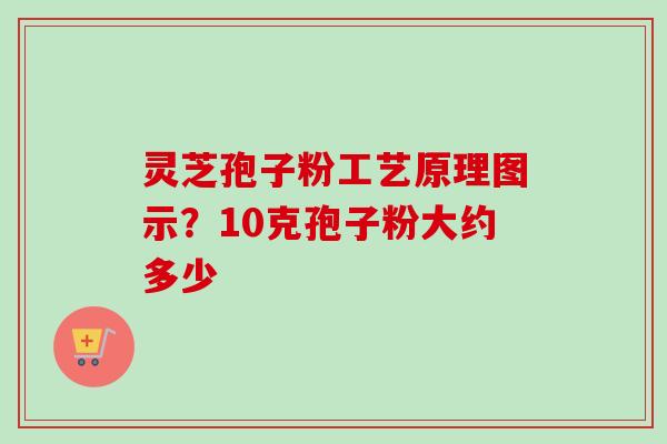 灵芝孢子粉工艺原理图示?10克孢子粉大约多少-第1张图片-卓越灵芝孢子粉 灵芝孢子粉工艺原理图示?10克孢子粉大约多少-第1张图片-卓越灵芝孢子粉