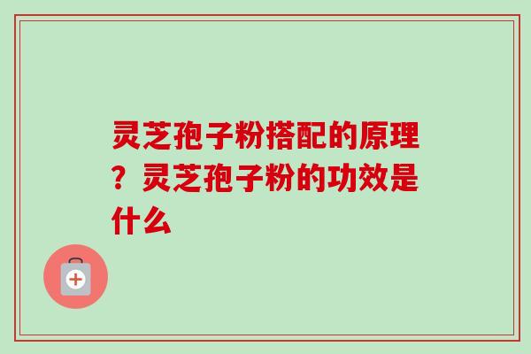 灵芝孢子粉搭配的原理?灵芝孢子粉的功效是什么-第1张图片-卓越灵芝孢子粉 灵芝孢子粉搭配的原理?灵芝孢子粉的功效是什么-第1张图片-卓越灵芝孢子粉