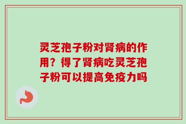 灵芝孢子粉对肾病的作用?得了肾病吃灵芝孢子粉可以提高免疫力吗-第1张图片-卓越灵芝孢子粉 灵芝孢子粉对肾病的作用?得了肾病吃灵芝孢子粉可以提高免疫力吗-第1张图片-卓越灵芝孢子粉