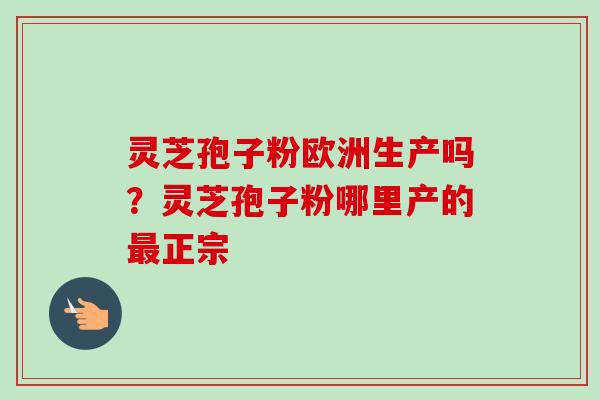 灵芝孢子粉欧洲生产吗?灵芝孢子粉哪里产的最正宗-第1张图片-卓越灵芝孢子粉 灵芝孢子粉欧洲生产吗?灵芝孢子粉哪里产的最正宗-第1张图片-卓越灵芝孢子粉
