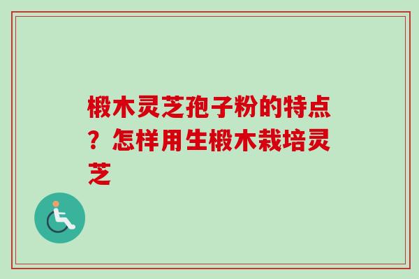 椴木灵芝孢子粉的特点?怎样用生椴木栽培灵芝-第1张图片-卓越灵芝孢子粉 椴木灵芝孢子粉的特点?怎样用生椴木栽培灵芝-第1张图片-卓越灵芝孢子粉