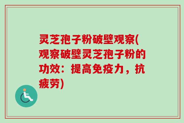 灵芝孢子粉破壁观察(观察破壁灵芝孢子粉的功效：提高免疫力，抗疲劳)-第1张图片-卓越灵芝孢子粉