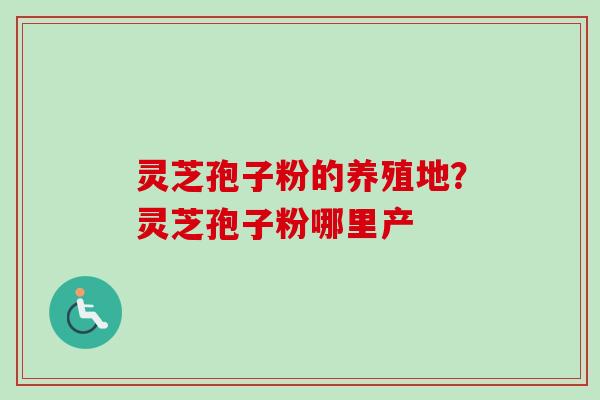 灵芝孢子粉的养殖地?灵芝孢子粉哪里产-第1张图片-卓越灵芝孢子粉 灵芝孢子粉的养殖地?灵芝孢子粉哪里产-第1张图片-卓越灵芝孢子粉