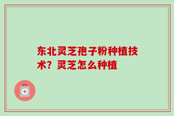 东北灵芝孢子粉种植技术?灵芝怎么种植-第1张图片-卓越灵芝孢子粉 东北灵芝孢子粉种植技术?灵芝怎么种植-第1张图片-卓越灵芝孢子粉