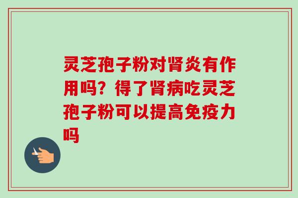 灵芝孢子粉对肾炎有作用吗？得了肾病吃灵芝孢子粉可以提高免疫力吗-第1张图片-卓越灵芝孢子粉