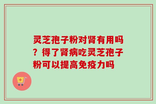 灵芝孢子粉对肾有用吗?得了肾病吃灵芝孢子粉可以提高免疫力吗-第1张图片-卓越灵芝孢子粉 灵芝孢子粉对肾有用吗?得了肾病吃灵芝孢子粉可以提高免疫力吗-第1张图片-卓越灵芝孢子粉