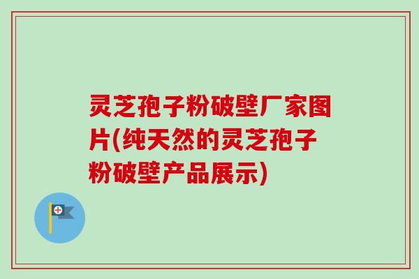 灵芝孢子粉破壁厂家图片(纯天然的灵芝孢子粉破壁产品展示)-第1张图片-卓越灵芝孢子粉 灵芝孢子粉破壁厂家图片(纯天然的灵芝孢子粉破壁产品展示)-第1张图片-卓越灵芝孢子粉