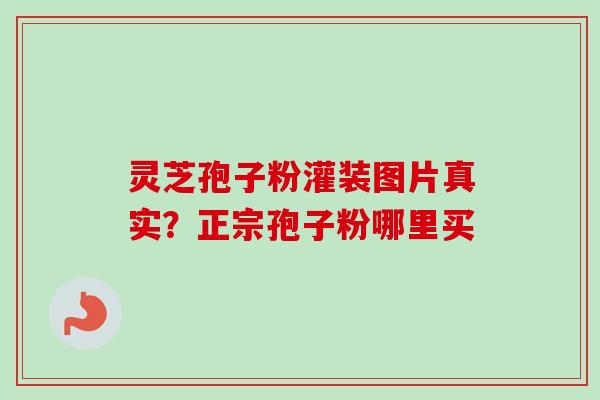 灵芝孢子粉灌装图片真实？正宗孢子粉哪里买-第1张图片-卓越灵芝孢子粉