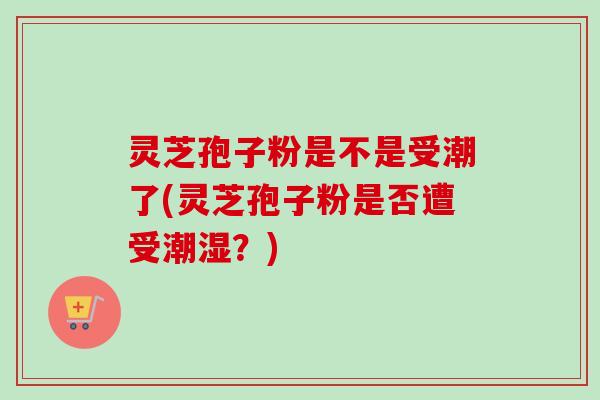 灵芝孢子粉是不是受潮了(灵芝孢子粉是否遭受潮湿？)-第1张图片-卓越灵芝孢子粉