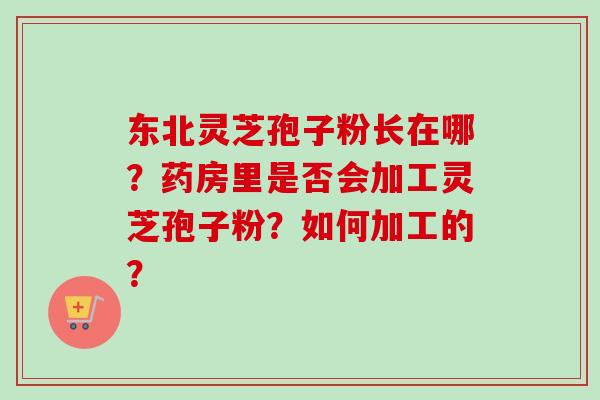 东北灵芝孢子粉长在哪?药房里是否会加工灵芝孢子粉?如何加工的?-第1张图片-卓越灵芝孢子粉 东北灵芝孢子粉长在哪?药房里是否会加工灵芝孢子粉?如何加工的?-第1张图片-卓越灵芝孢子粉