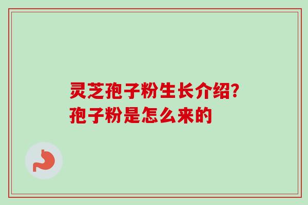 灵芝孢子粉生长介绍?孢子粉是怎么来的-第1张图片-卓越灵芝孢子粉 灵芝孢子粉生长介绍?孢子粉是怎么来的-第1张图片-卓越灵芝孢子粉