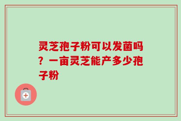 灵芝孢子粉可以发菌吗？一亩灵芝能产多少孢子粉-第1张图片-卓越灵芝孢子粉