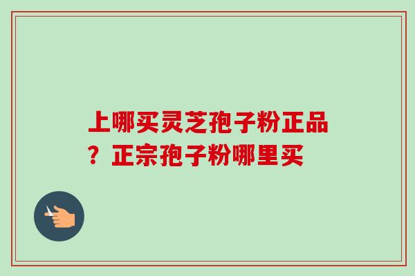 上哪买灵芝孢子粉正品?正宗孢子粉哪里买-第1张图片-卓越灵芝孢子粉 上哪买灵芝孢子粉正品?正宗孢子粉哪里买-第1张图片-卓越灵芝孢子粉