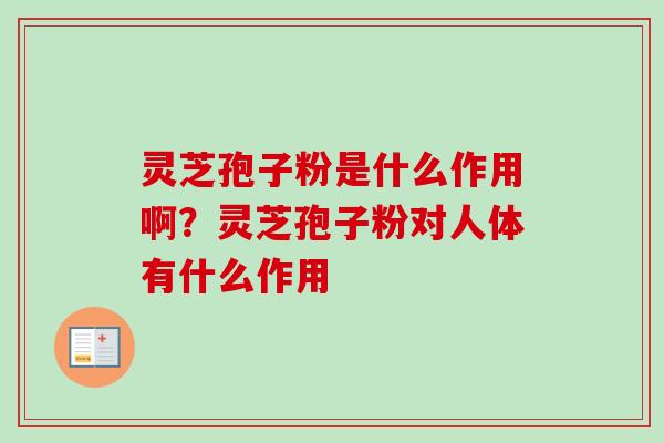 灵芝孢子粉是什么作用啊?灵芝孢子粉对人体有什么作用-第1张图片-卓越灵芝孢子粉 灵芝孢子粉是什么作用啊?灵芝孢子粉对人体有什么作用-第1张图片-卓越灵芝孢子粉