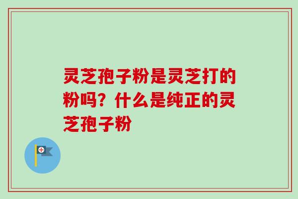 灵芝孢子粉是灵芝打的粉吗?什么是纯正的灵芝孢子粉-第1张图片-卓越灵芝孢子粉 灵芝孢子粉是灵芝打的粉吗?什么是纯正的灵芝孢子粉-第1张图片-卓越灵芝孢子粉