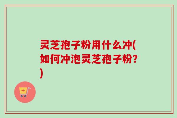 灵芝孢子粉用什么冲(如何冲泡灵芝孢子粉？)-第1张图片-卓越灵芝孢子粉