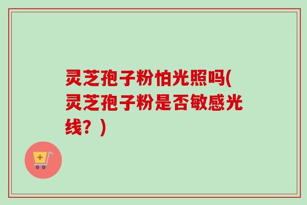 灵芝孢子粉怕光照吗(灵芝孢子粉是否敏感光线?)-第1张图片-卓越灵芝孢子粉 灵芝孢子粉怕光照吗(灵芝孢子粉是否敏感光线?)-第1张图片-卓越灵芝孢子粉