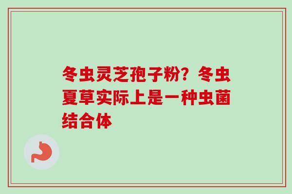 冬虫灵芝孢子粉？冬虫夏草实际上是一种虫菌结合体-第1张图片-卓越灵芝孢子粉