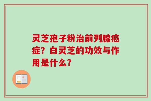 灵芝孢子粉治前列腺癌症?白灵芝的功效与作用是什么?-第1张图片-卓越灵芝孢子粉 灵芝孢子粉治前列腺癌症?白灵芝的功效与作用是什么?-第1张图片-卓越灵芝孢子粉
