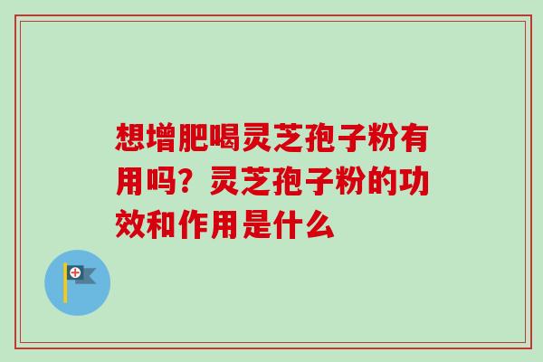 想增肥喝灵芝孢子粉有用吗?灵芝孢子粉的功效和作用是什么-第1张图片-卓越灵芝孢子粉 想增肥喝灵芝孢子粉有用吗?灵芝孢子粉的功效和作用是什么-第1张图片-卓越灵芝孢子粉