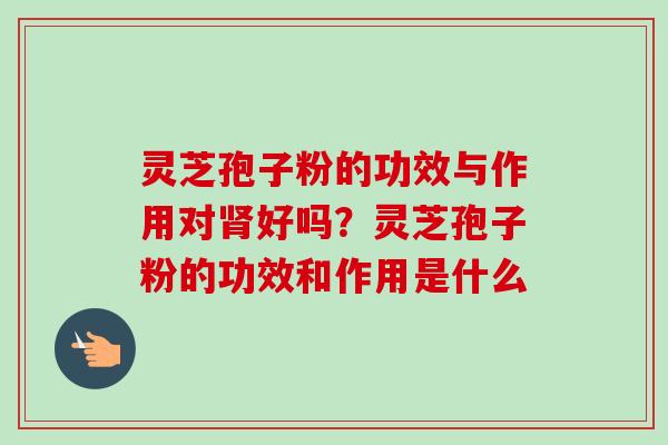 灵芝孢子粉的功效与作用对肾好吗？灵芝孢子粉的功效和作用是什么-第1张图片-卓越灵芝孢子粉